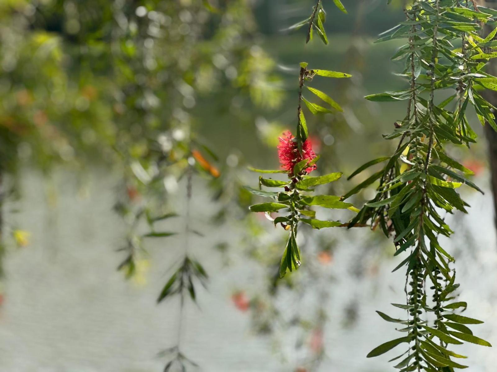 Lakeside Cottage By Clover Nuwara Eliya Dış mekan fotoğraf