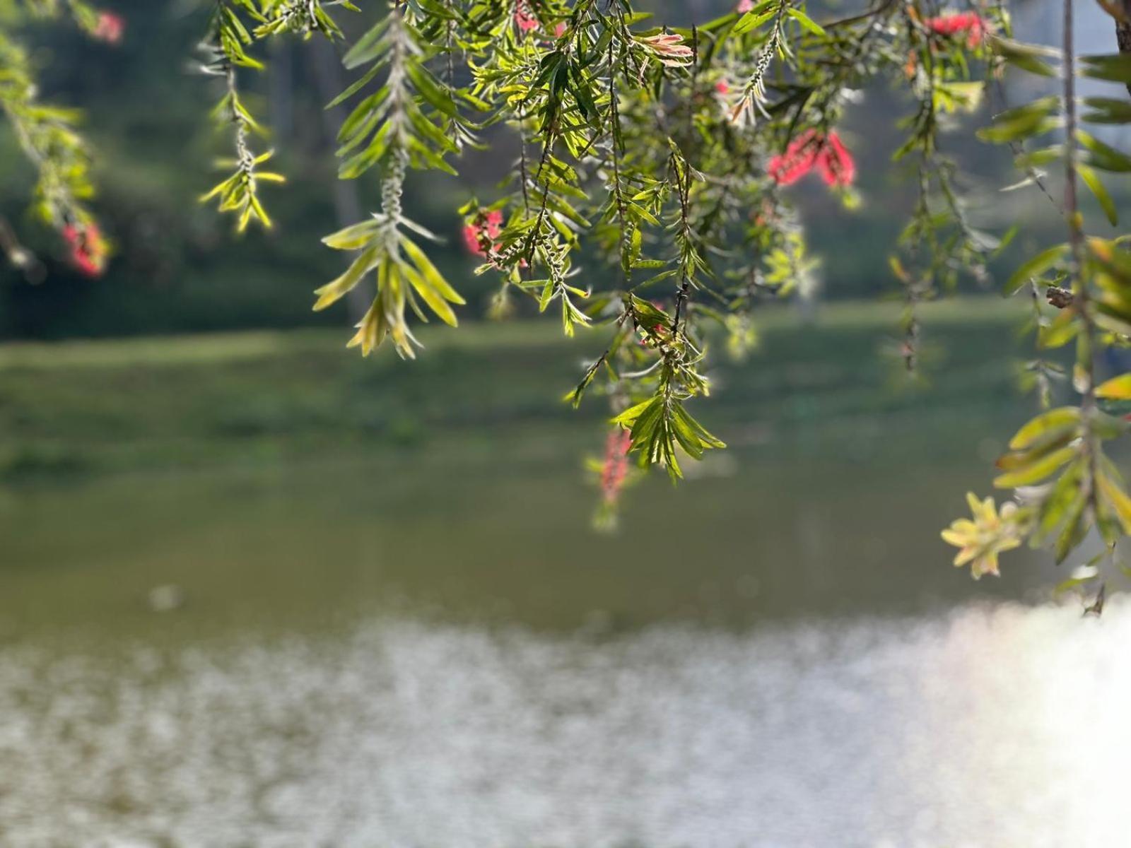 Lakeside Cottage By Clover Nuwara Eliya Dış mekan fotoğraf