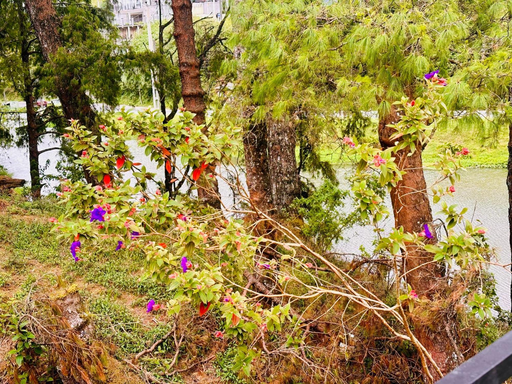 Lakeside Cottage By Clover Nuwara Eliya Dış mekan fotoğraf