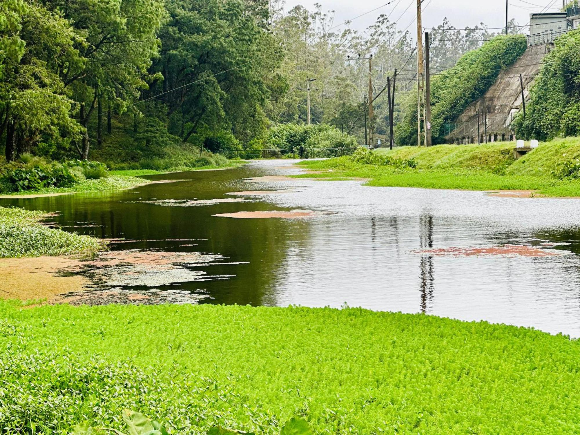 Lakeside Cottage By Clover Nuwara Eliya Dış mekan fotoğraf